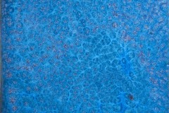 dscf8713