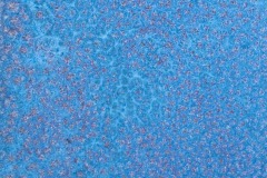 dscf8715