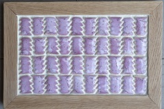 dscf8729