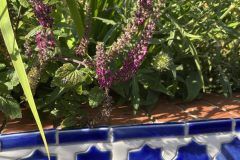 garden_wall_detail_2