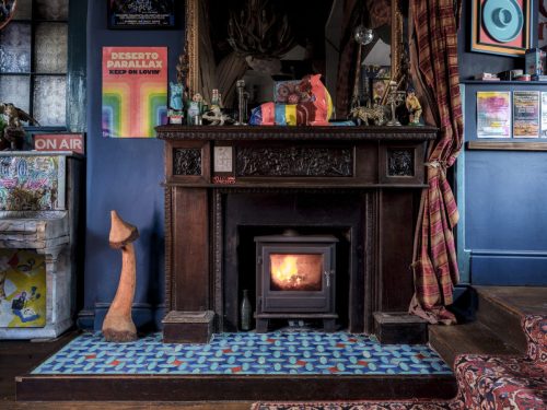 Feather Star fireplace