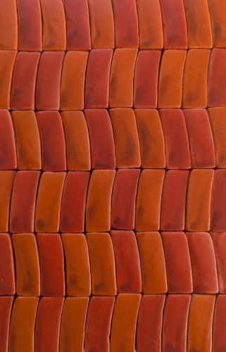 PXL_20260420_091108698~3